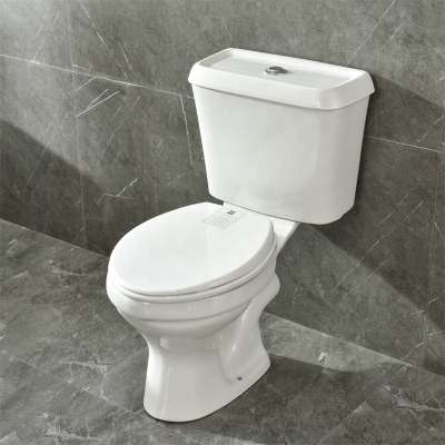 Economy Sanitaryware Washroom Two Toilet Ceramic Colored Toilet Bowl