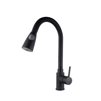 Flexible Copper Long Neck Black Kitchen Pull Out Faucet