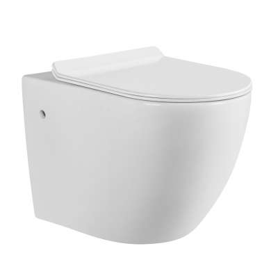 Ceramic european style CE certificated wall hung wc toilet